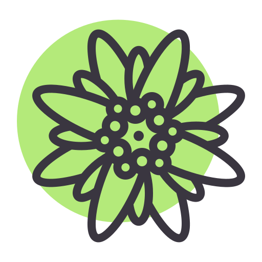 Freshlytica